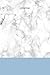 Journal: White/grey marble background with blue band and black title, 200 page (100 sheet) 6