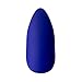 Kiss Gold Finger Gel Glam 24 Glue-On False Nails Blue Silver Flower Glitter Finish Long Stiletto Style