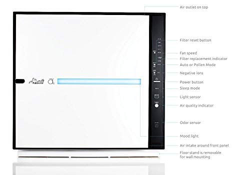 Rabbit Air, MinusA2 Air Purifiers for Home, Ultra Quiet HEPA Air Purifier - Wall Mountable Air Purifiers for Home Large Room, Allergies, Dust, Mold, Smoke & VOCs - (SPA-780A, White, Germ Defense)