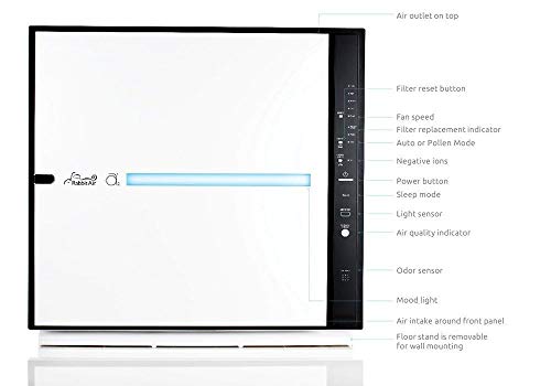 RabbitAir MinusA2 Ultra Quiet HEPA Air Purifier - Stylish, Efficient and Energy Star (SPA-780A, White, Odor Remover)