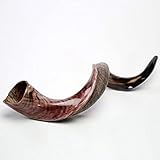 37-40" half Polished approx Kudu Yemenite HORN