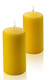 Citronella Pillar Candle - Set of 2 Summer Scented Citronella Candles - 6 inch Tall, 3 inch Thick - 54 Hour Burn Time - for Indoor/Outdoor Use - Made in USA
