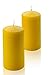 Citronella Pillar Candle - Set of 2 Summer Scented Citronella Candles - 6 inch Tall, 3 inch Thick - 54 Hour Burn Time - for Indoor/Outdoor Use - Made in USA primary