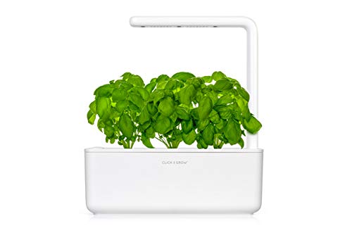Click and Grow Smart Garden Basil Plant Pods, 3-Pack - Thumbnail 3
