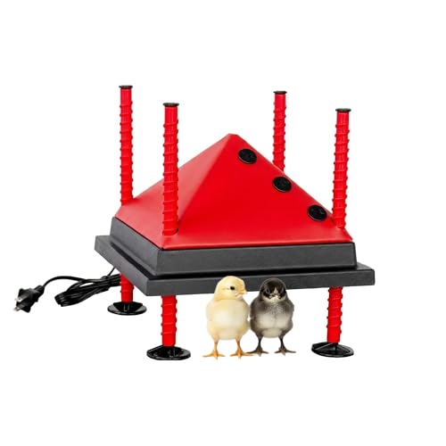 RentACoop 10x10 Adjustable Heating Plate