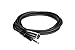 Hosa STX-120M Balanced Interconnect - 1/4-inch TRS Male to XLR Male - 20 foot