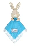 Kids Preferred Beatrix Potter Peter Rabbit Good Little Bunny Blanky & Plush