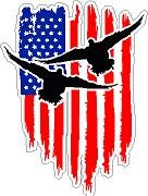Ducks and US Flag Vinyl Sticker Decal Cars Trucks Vans Walls Laptop MacBook