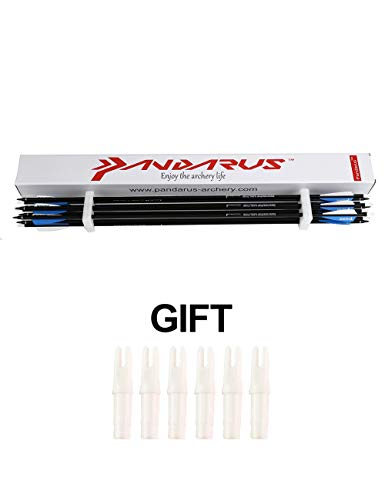 image for PANDARUS Archery 30Inch Carbon Practice Hunting Arrows with Removable 