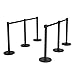 Goplus 6Pcs Stanchion Set W/ 6.5Feet Retractable Belt Posts Queue Pole Crowd Control Barrier (Black)