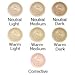 Lauren Brooke Cosmetiques All Natural Eye and Face Creme Concealer (Neutral - Light)