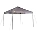 Ozark Trail Instant 10' x 10' Straight Leg Canopy / Gazebo by OZARK