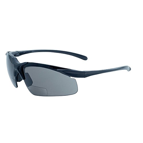 Polarized Bifocal Safety Glasses TOPRated Best Polarized Bifocal