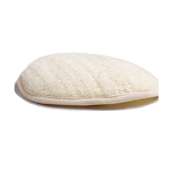 Exfoliating-Loofah-Back-Scrubber-Loofah-Pad-Natural-Plant-Materials-Bath-Loofa-Sponge-for-Shower-SPA-for-Men-and-Women Exfoliating Loofah Back Scrubber & Loofah Pad Natural Plant Materials Bath Loofa Sponge for Shower SPA for Men and Women