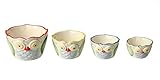 Creative Co-op Dolomite Owl Measuring Cups, Multicolored, Set of 4
