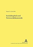 Image de Sozialkapital und Netzwerkökonomik (Hohenheimer volkswirtschaftliche Schriften) (German Edition)