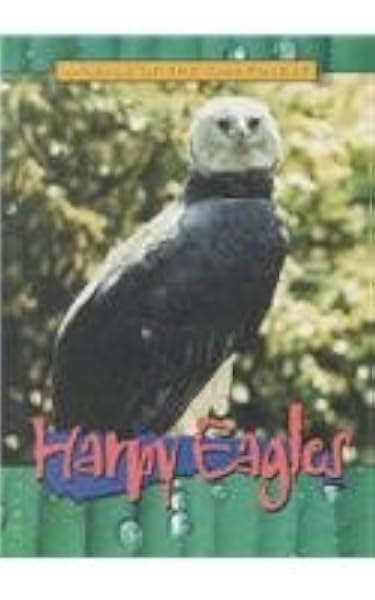 Harpy Eagles Animals Of The Rain Forest Donovan Sandy Bridget