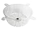 Plastec Products HS12 Saucer for Hanging Plants, 12-Inch