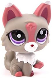 New Littlest Pet Shop Toys Cute Fox Animal Cartoon Action Figures Collection Kids toys Christmas Gifts