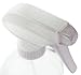 Sally's Organics Clear Glass Spray Bottle Beauty, Large