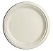 Brheez 10 inch Heavy Duty Plates 100% Natural Sugarcane Biodegradable Compostable Bagasse, Eco-friendly paper alternative - Pack of 110