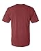 Comfort Colors 4.8 Oz. Ringspun Garment-Dyed T-Shirt (C4017)- BRICK, L