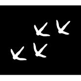 Turkey Tracks (4) Vinyl Decal Car Window Bumper Sticker Set of 4, 5 INCH Dye Cut Decal Sticker for Bumpers Windows Cars Laptops ETC