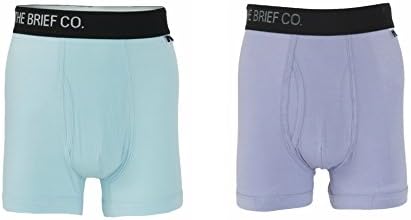 The Brief Co Exclusive High End Underwear for Men (Lilac Brief, Medium)