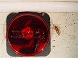 12 Maxforce FC Cockroach German Roach Pest Control Bait Stations .05% Fipronil