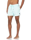 Quiksilver Men's Standard Everyday Volley 15 Swim