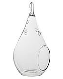 Plant Terrarium,Hanging Candle Holder Glass Terrarium (24 pcs)