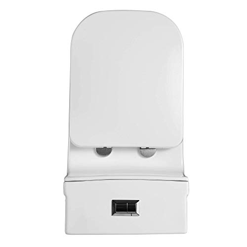 Fine Fixtures DualFlush Elongated OnePiece Toilet with High