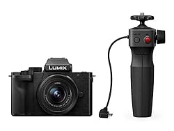 Panasonic LUMIX G100 Mirrorless