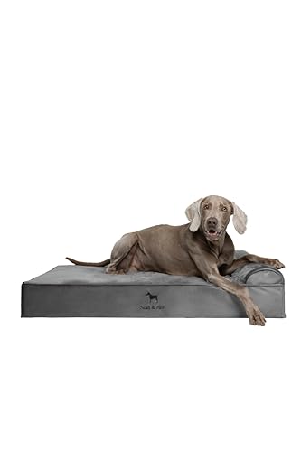 Noah & Paw Orthopedic Memory Foam Dog Bed