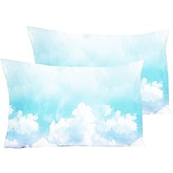YIYEA 100% Brushed Microfiber Pillow Cases King
