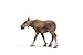 Schleich Moose Cow 14620