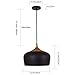 Metal Pendant Light, Briever 1 Light Dome Pendant Lamp, Black Braided Cable Chandelier, with LED Bulb