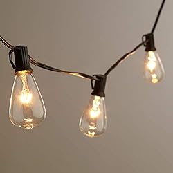 hairmiss 25ft Outdoor Edison Bulb String Lights