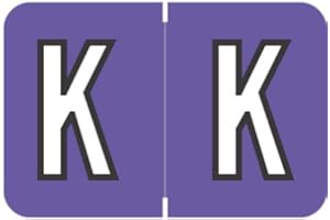 Doctor Stuff - File Folder Labels, Alphabet Letter K, Barkley/Sycom FABKM - BRAM Series Compatible Alpha Stickers, Purple, 1" x 1-1/2", 225 Labels per Package