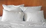 Set of Two Hypoallergenic Microfiber Pillows (King)