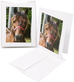 JonS Designs " Fury Looking at Me " Blank White Note Card (5.5" x 4.25") Pack of 6 , Comes with White Envelope , Printed in USA
