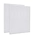 115115 Replacement Filters A Size 21 for Winix PlasmaWave 5300-2, C535, 6300, 5300, 6300-2, P300, AM90, 9000, 5000, 5000B, C909, 9800 Air Purifier, 2 True HEPA Filters + 8 Carbon Pre-Filters