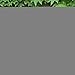 Jute Burlap Happy Birthday Banner with Sunflower Birthday Party Bunting Garland Decoration