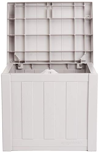 1 AmazonBasics+22+Gallon+Resin+Deck+Storage