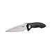 GANZO Firebird FH51 Pocket Folding Knife G10 Handle with Clip D2 Steel Blade Hunting Fishing Camping Outdoor EDC Knife (Black)