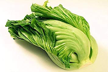 Plentree Seeds Package: X Indian (GAI Choy, GAI Choi) Cabbage Seeds