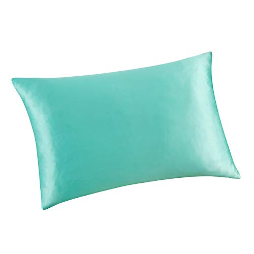 ALASKA BEAR Natural Silk Pillowcase, Hypoallergenic, 19 Momme, 600 Thread Count 100 Percent Mulberry Silk, Standard Size with Hidden Zipper(1, Tiffany)