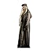Advanced Graphics Professor Dumbledore Life Size Cardboard Cutout Standup - Harry Potter and the Order of the Phoenix