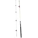 Salt Water Surf Rod 10'