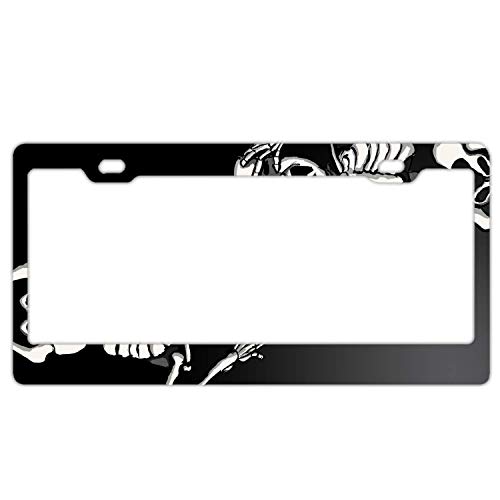 Custom License Plate Frame Cute License Plate Frame Customized AluminumL Metal License Plate Frame